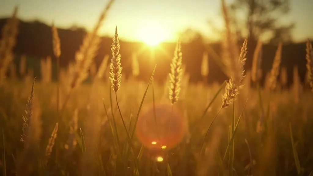 Unraveling the Connection Between Energy Healing and Spiritual Growth
